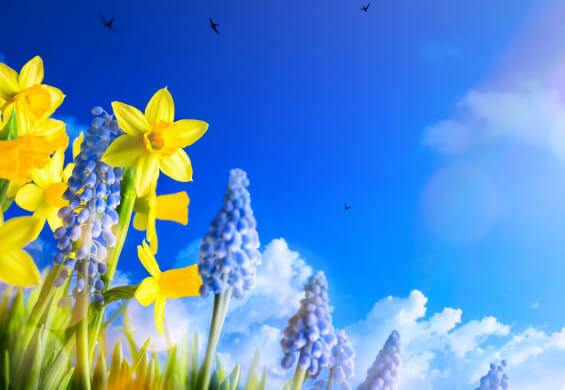 2021 CEO Spring Greetings