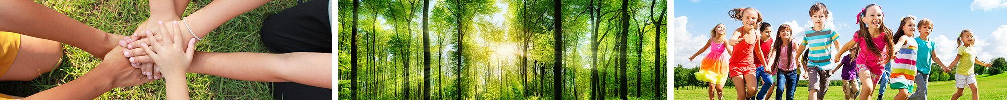 csr-banner.jpg csr-banner.jpg
